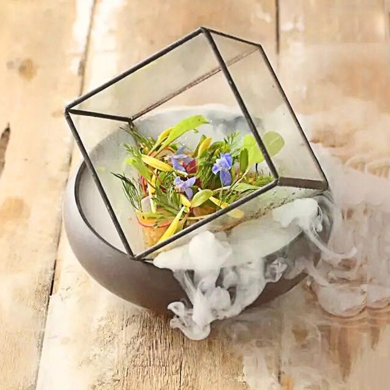 意境菜餐具干冰冒烟分子料理创意菜盘子个性特色火锅鸭肠创意餐具
