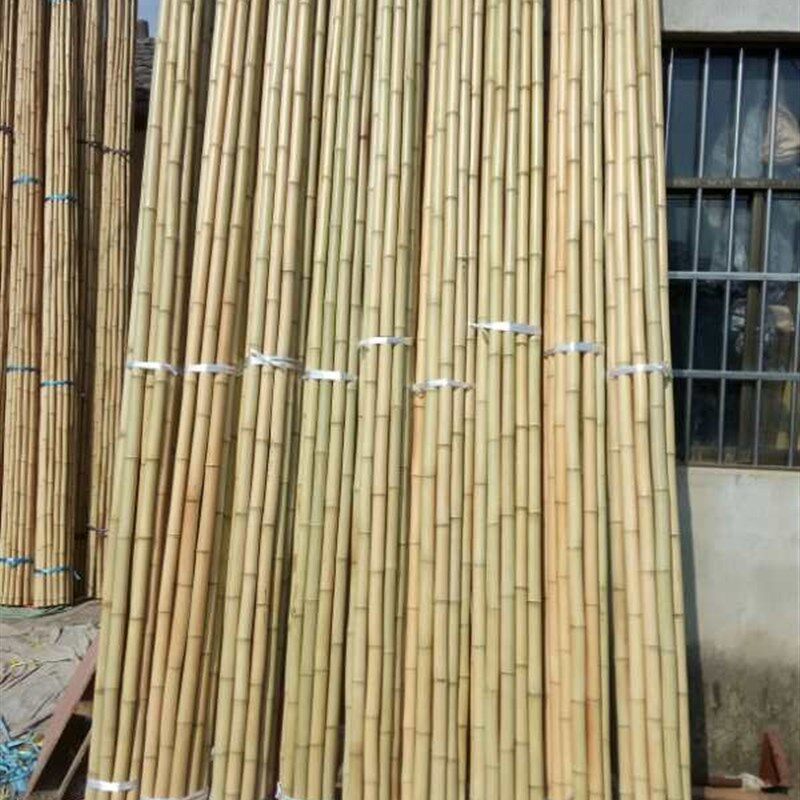 竹竿菜园搭架棍栏菜黄笆番茄豆角架种菜竹篱瓜栅蔬菜架竹竿爬藤架