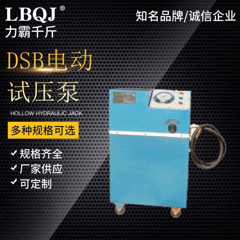 厂家供应DSB手提试压泵小型试压泵手提式电动试压泵