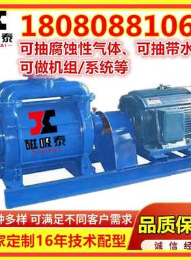 真空泵SK20M3/min水环泵4KW水环式真空泵消失模铸造真空系统机组