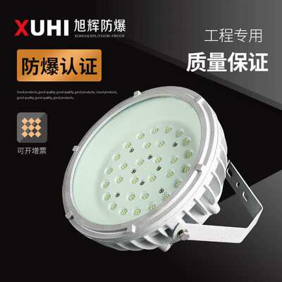 防爆平台灯XHD850免维护LED防爆灯70W80W100WLED路灯高亮节能IP66