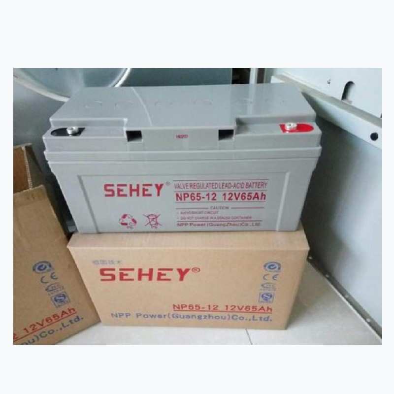 SEHEY西力蓄电池12V65AH NP65-12免维护 UPS 太阳能电源 质保三年