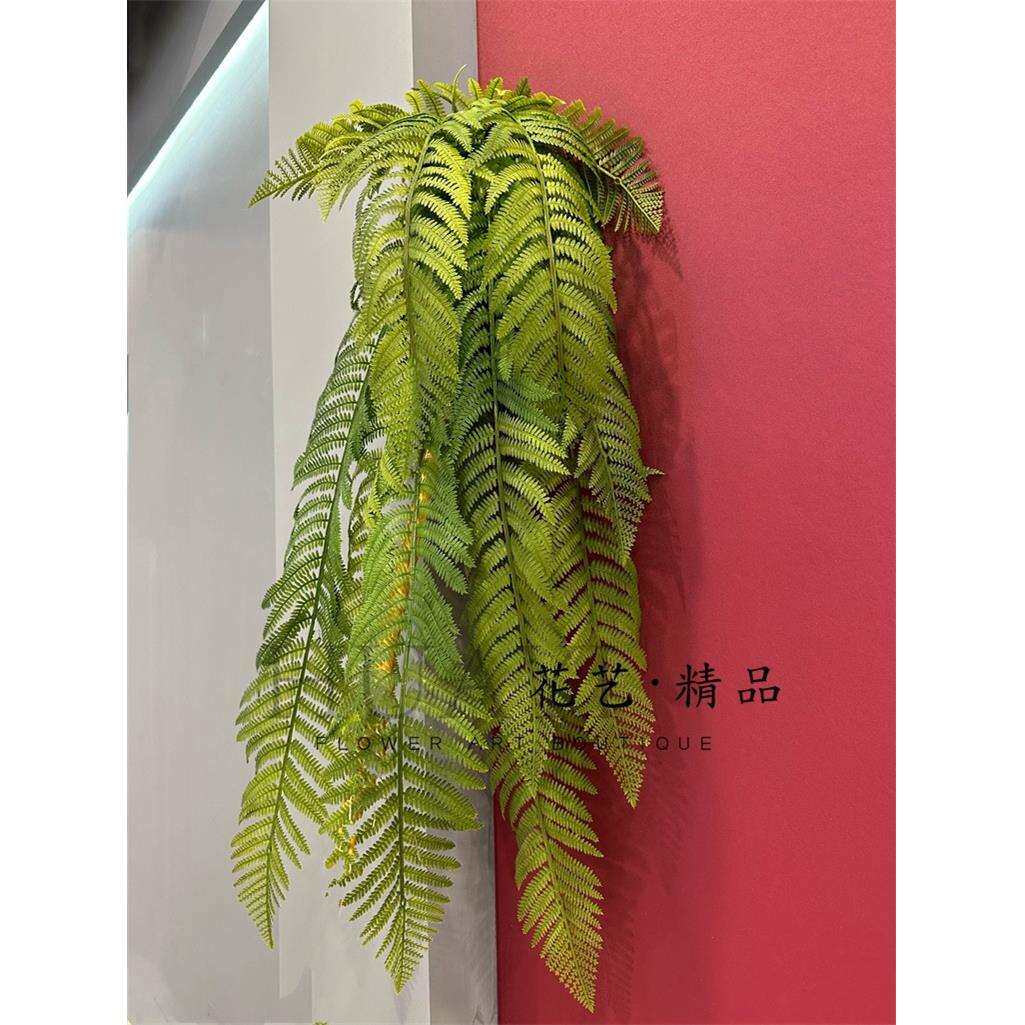 热带雨林大蕨叶植物造景垂直绿化壁挂吊兰屋顶悬挂园林装饰