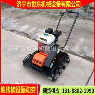 世东铺设彩砖平整机 路面地砖压平机 小型人行花砖振动压实机