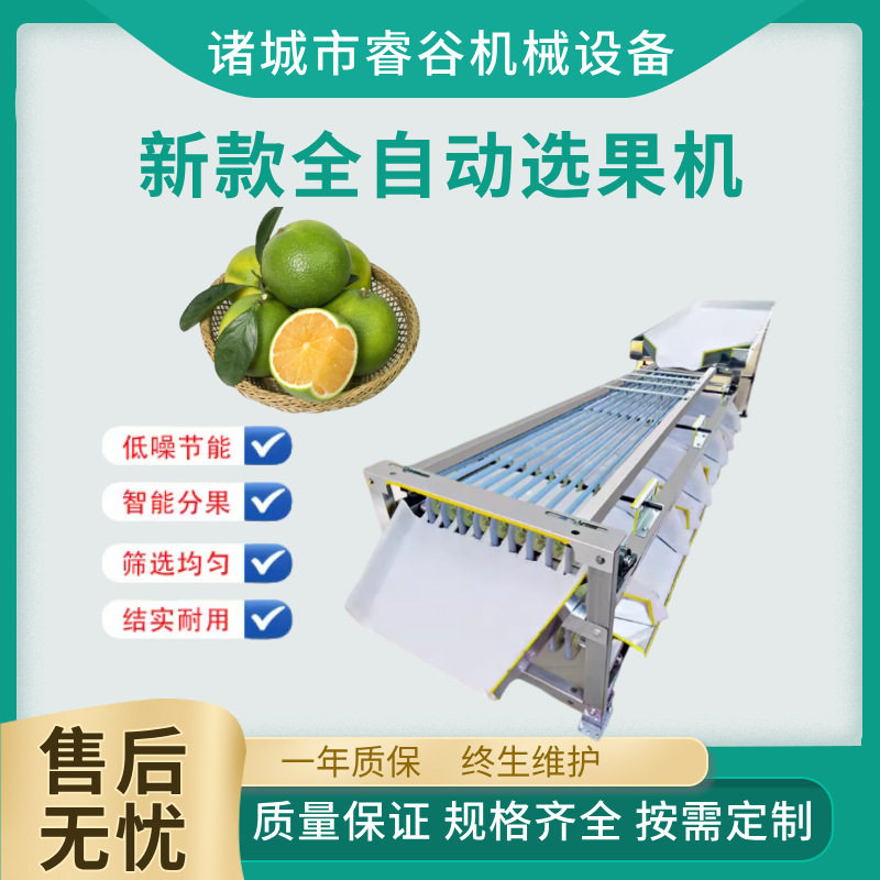 青桔商用自动分选机分级筛选机脐橙挑选不锈钢材质小型自动分选机