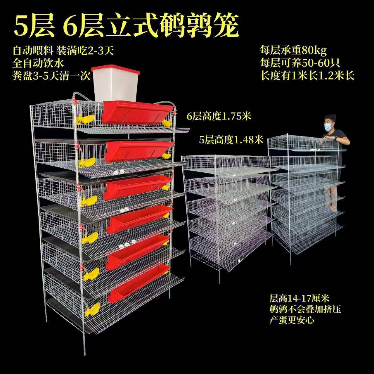 鹌鹑笼产蛋鹌鹑鹧鸪石鸡养殖加粗加大空间多层自动喂水喂料带粪盘