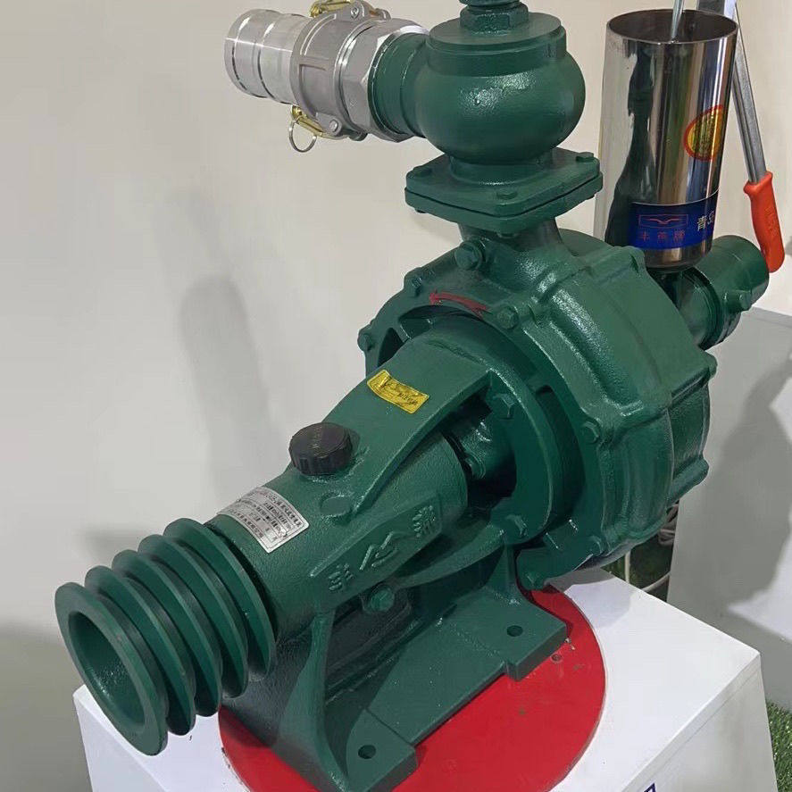 高扬程双叶轮喷灌泵 柴油150米扬程水泵泵头 可带喷灌枪柴油泵头,农机/农具/农膜,碾米机,淘宝优惠券,粉丝福利购,淘宝优惠卷