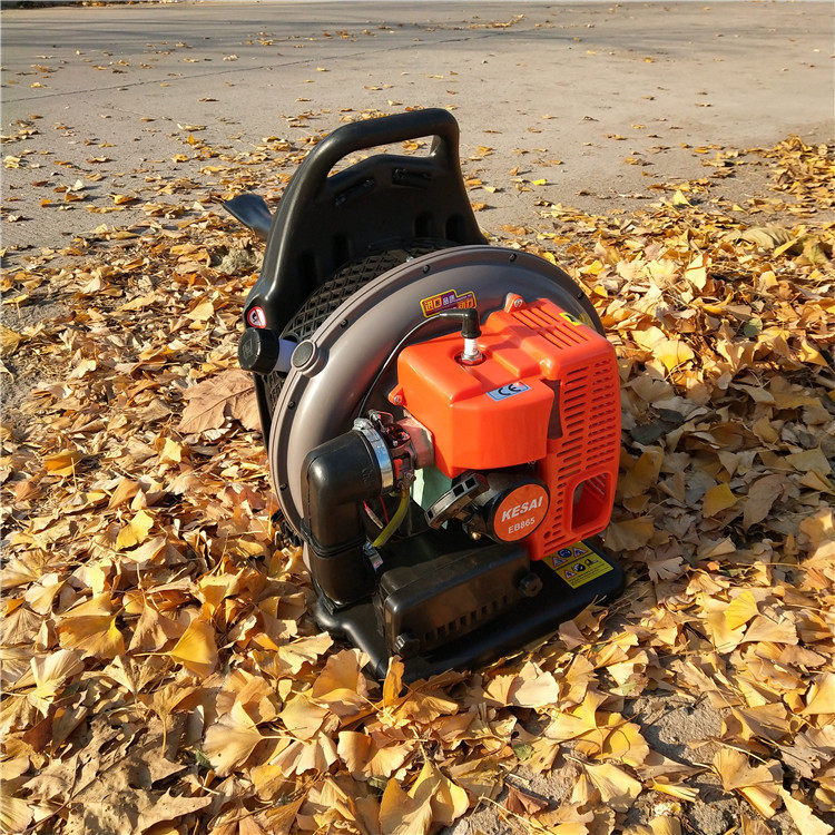 大功率四冲程吹风吹雪机 蔬菜大棚吹雪除雪机 小区绿化草坪吹叶机,农机/农具/农膜,割灌机/割草机/油锯,淘宝优惠券,粉丝福利购,淘宝优惠卷