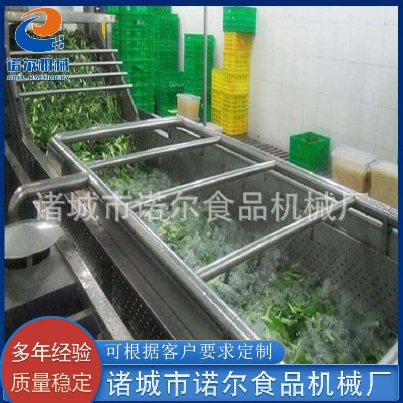 淋喷式净菜清洗线 全自动果蔬气泡清洗机 毛豆圆白菜清洗机