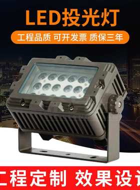 科锐光源LED投光灯36W100W144W户外公园暖光投射灯72W绿光照树灯