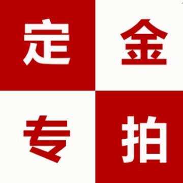 订金专拍 产品订金预付打样等业务专拍链接 尾款订金专拍