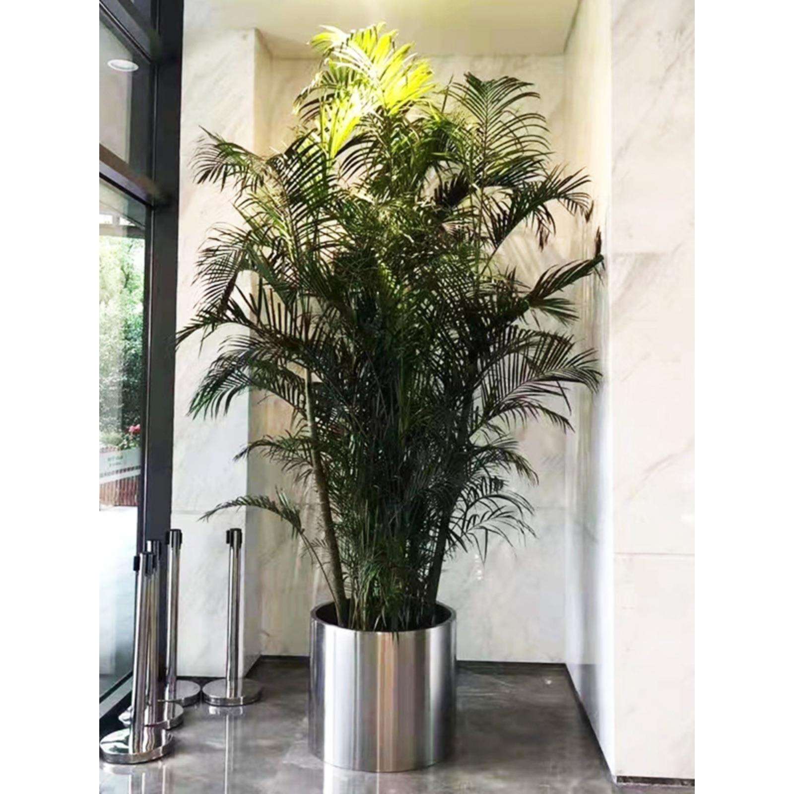 不锈钢花盆大花盆圆柱形花器金属花箱简约花钵种植器皿家用种植盆