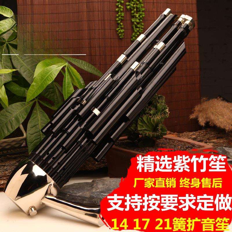 紫竹笙乐器专业初学者14簧方笙17簧21簧圆笙降降调扩音笙