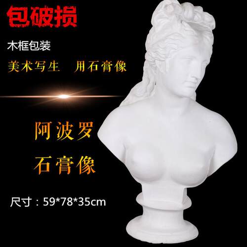 勃兰特太阳神阿波罗石膏像石膏教具石膏头像厂家直销素描用品