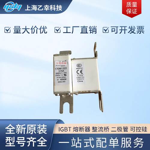 巴斯曼熔断器 170M1318 170M1319 170M1320 170M1321 170M1322