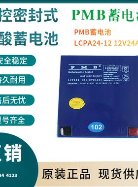 PMB蓄电池LCPA24-12 12V24AH 高能长寿命 应急照明移动式照明三年