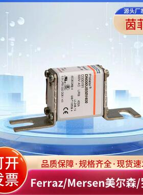 DN00UB69V250L J330242 DN00UB69V315L K330243美尔森/罗兰熔断器