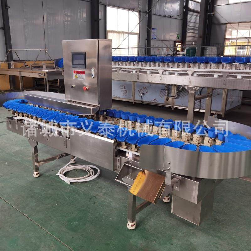 全自动海参重量分选机鲍鱼称重分选机水果分选设备,清洗/食品/商业设备,其他食品加工设备,淘宝优惠券,粉丝福利购,淘宝优惠卷