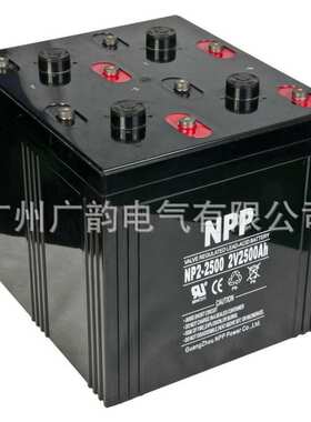 NPP耐普蓄电池NP2-2000 光伏离网系统用 2V2000AH野外生活用电