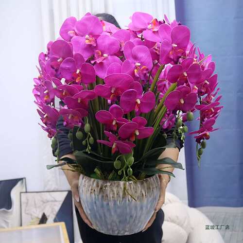 特大号手感pu蝴蝶兰花客厅装饰花电视柜玄关假花公司前台摆设