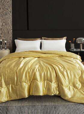 2024新款舒适亲肤蚕丝被子被芯 200*230cm夏被 黄色