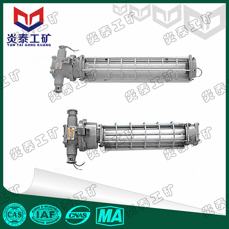 DGS36/127Y(A)矿用防爆荧光灯矿用隔爆型荧光灯节能荧光灯