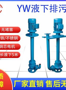 宣一YW液下排污泵边立式铸铁不锈钢无堵塞液下污泥泵液下污水泵