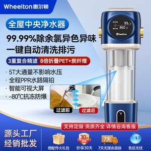 惠尔顿家用全屋反冲洗过滤器家用自动净水机