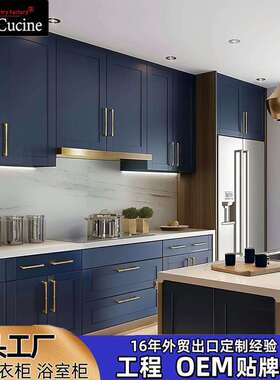 外贸出口北美工程橱柜定 制实木厨房厨柜kitchen cabinet工厂