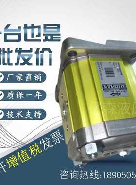 维沃VIVOLO齿轮泵X2P系列X2P4702EOOA X2P5731CSRA X2P4301EPOA