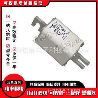 170M4738 170M4739 170M4740 170M4741 170M4742巴斯曼熔断器现货