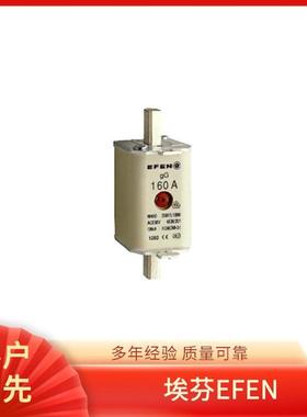 29300-0500 熔断器 EFEN FMU 16/3-U0 160A/3 Af Km L 变压器