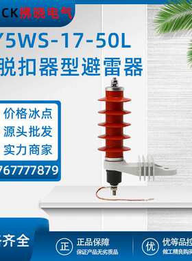 HY5WS-17-50L高压氧化锌避雷器带脱扣器复合型金属硅橡胶间隙10KV