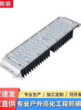 厂家直销户外防水30W50WLED路灯模组国标 led户外模组投光灯