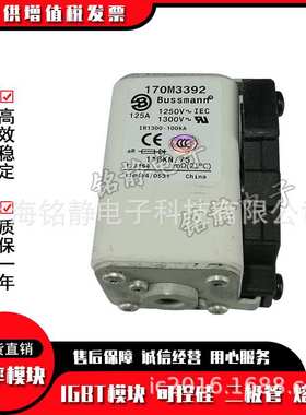 熔断器170M3363 170M3364 170M3365 170M3366 170M3367