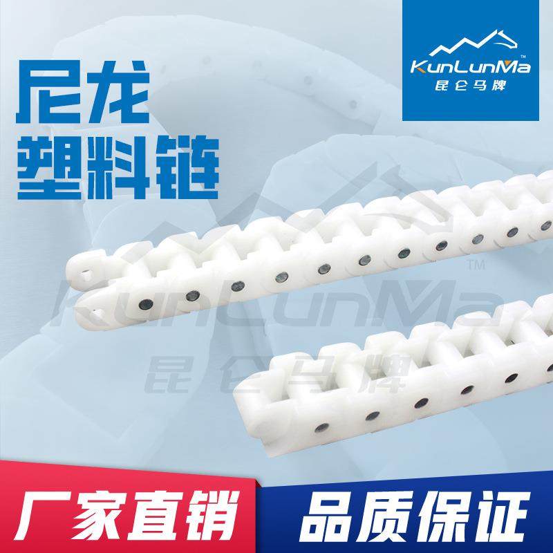 40P/60P双排塑料尼龙POM防静电耐磨拉柔性链板输送机配件塑料链条,玩具/童车/益智/积木/模型,毛绒/玩偶/公仔/布艺类玩具,淘宝优惠券,粉丝福利购,淘宝优惠卷