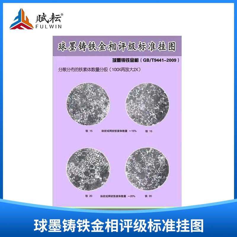 球墨铸铁金相评级标准挂图(GB/T9441-2009) 13张/套专业教学