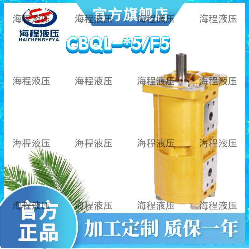 CBQL-*5/F5系列齿轮油泵单联泵C齿轮泵