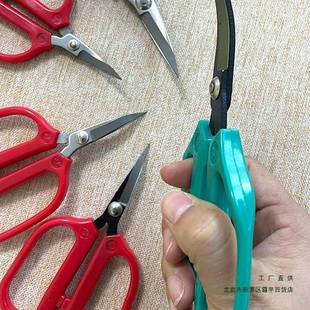 翘头小剪刀塑柄弧度弯剪刀工业用绣花弯尖剪子乒乓球拍修边弯行剪