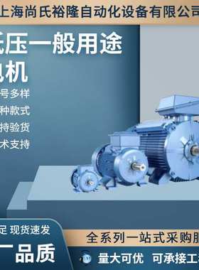 X20A12222 三相异步铸 铁4级 IE3马达ABB伺服电机X20A12237