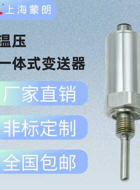 MPT2351温度压力一体化变送器 PT100传感器二路输出G1/2 G1/4 M20