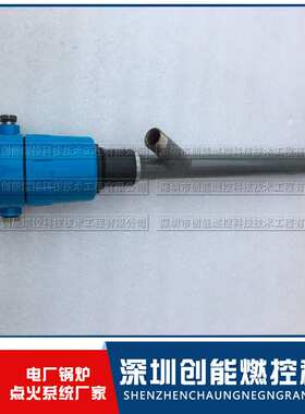 点火控制检测设备 火检探头Unifamep/N401111MD21