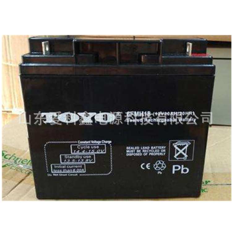 TOYO东洋蓄电池 6FMH18 12V20AH 直流屏机柜UPS电源电池