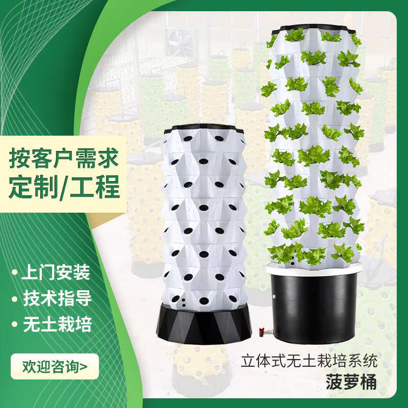 楼顶无土栽培种植水培种植塔雾培设备菠萝种植塔校园农耕教学设备