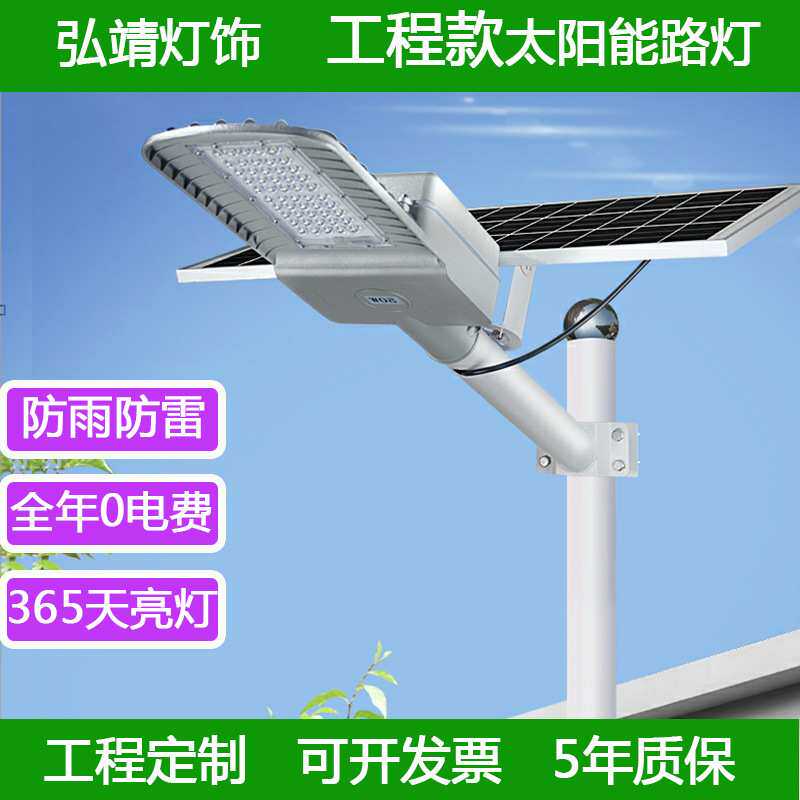 户外工程6米太阳能路灯 新农村改造分体式太阳能感应庭院灯壁灯