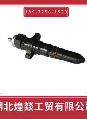 3071497-20喷油器厂家供应重庆康明斯KTA19/KTA50柴油发动机