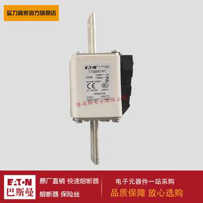 熔断器170M4761 170M4762 170M4763 170M4764 170M4765 170M4766