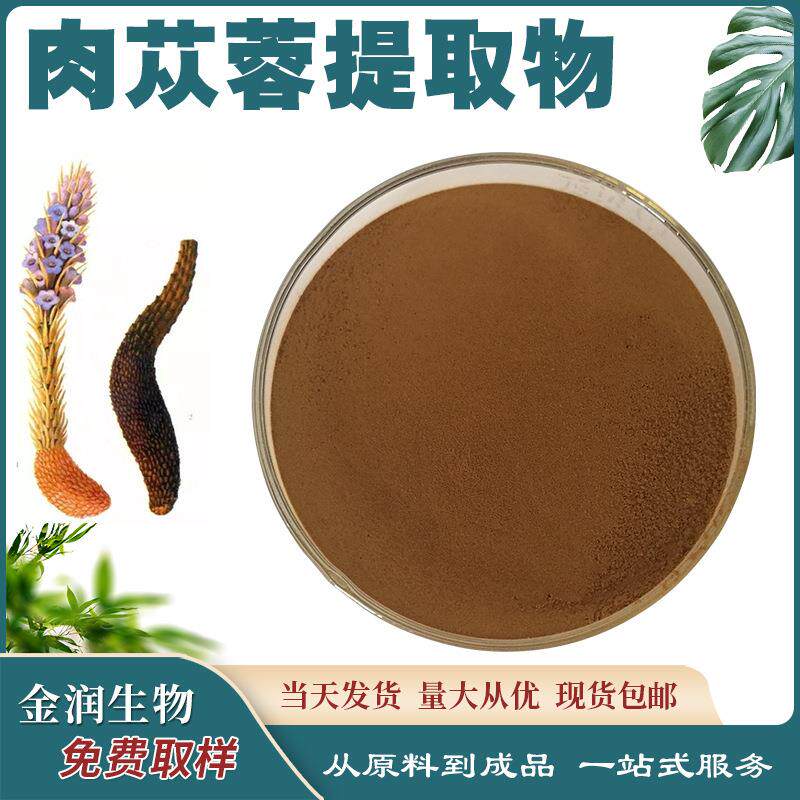 肉苁蓉提取物 比例提取物 水溶性 肉苁蓉 量大从优 厂家现货 现货