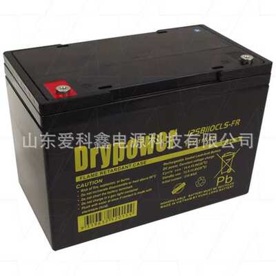 Drypower蓄电池 12SB110CLS-FR 12V110AH 直流屏机房备用电池