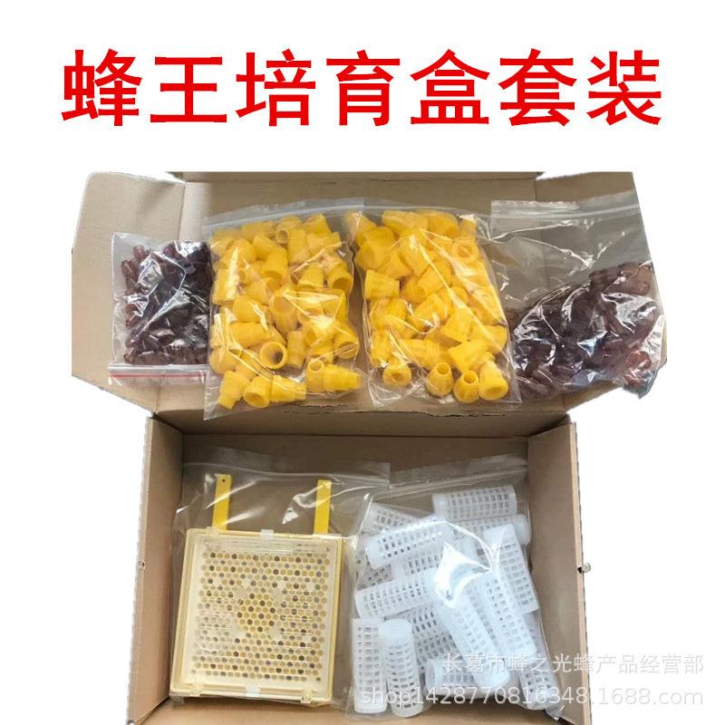 蜂具欧式蜂王培育盒套装蜜蜂王笼王台移虫盒蜂王饲养繁殖育王套盒